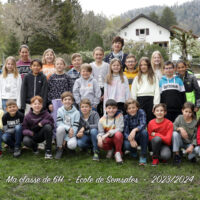 6H Semsales