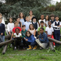 6P3